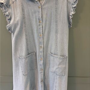 Lizard Thicket Ruffled Sleeve Light Blue Denim Dress